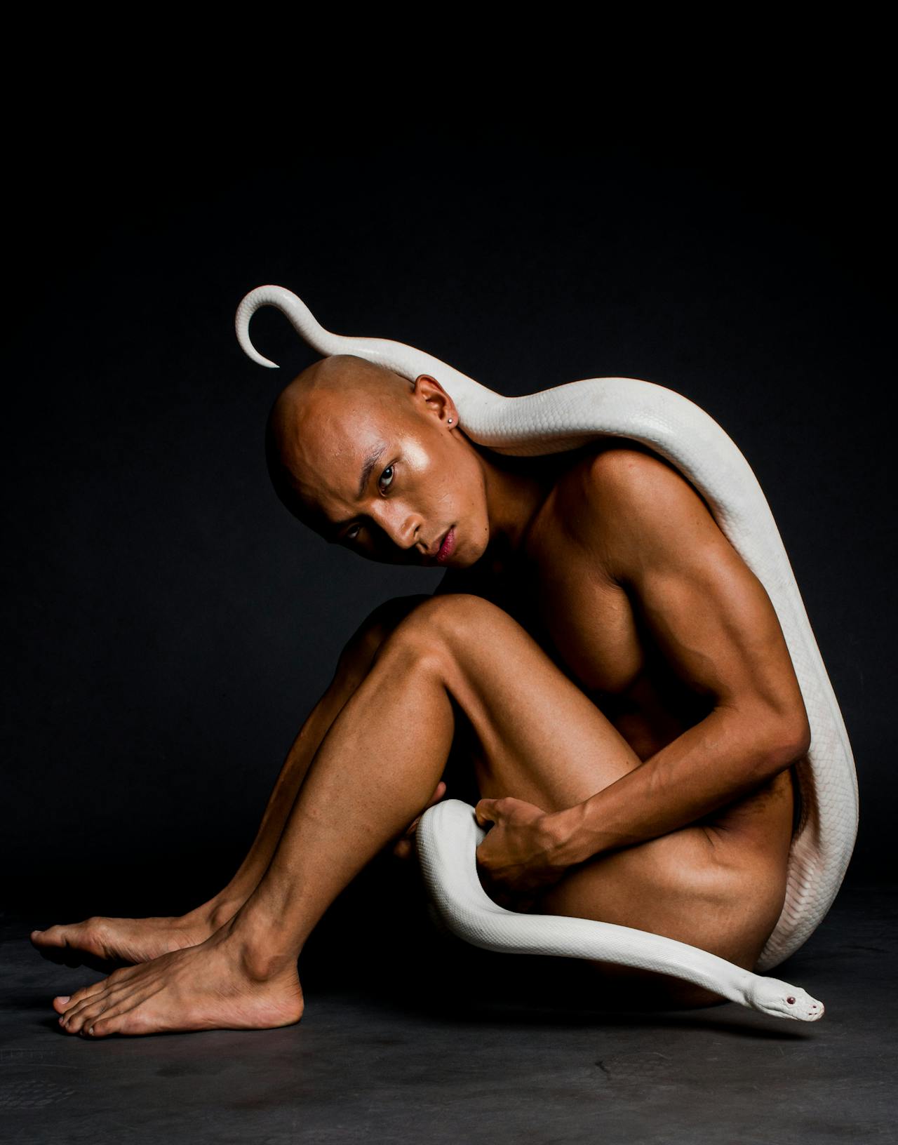 Ce înseamnă când visezi șarpe alb